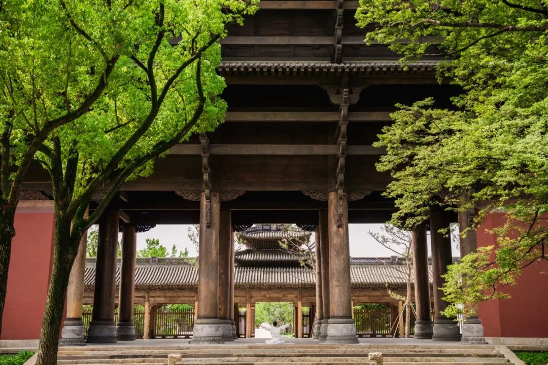 喜報(bào)|人文園林榮獲桐鄉(xiāng)市“鳳鳴杯”三項(xiàng)優(yōu)質(zhì)工程榮譽(yù)！