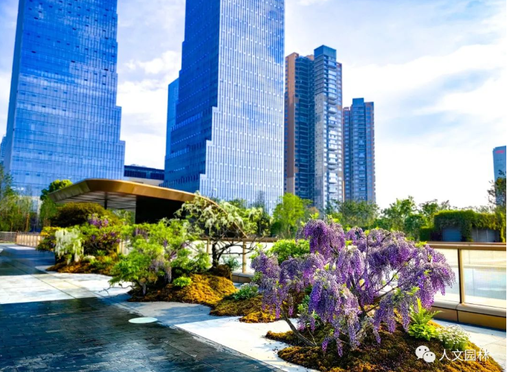 16837703554458092D4E.png image.png